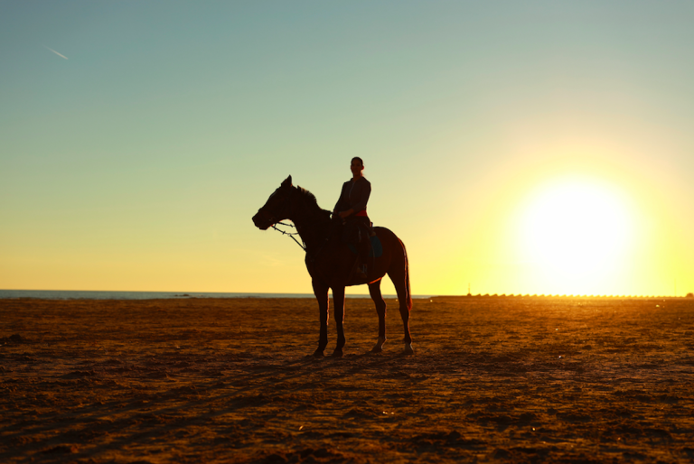 Dubai – A place with one of the strongest equestrian traditions