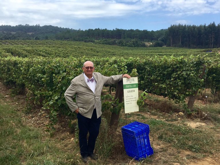 Terras Gauda Is The Winery That Hears The Land