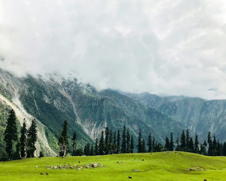 7 Items to Carry for Your Trip to Kashmir