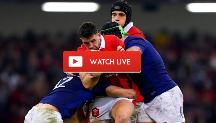 France vs Wales Live