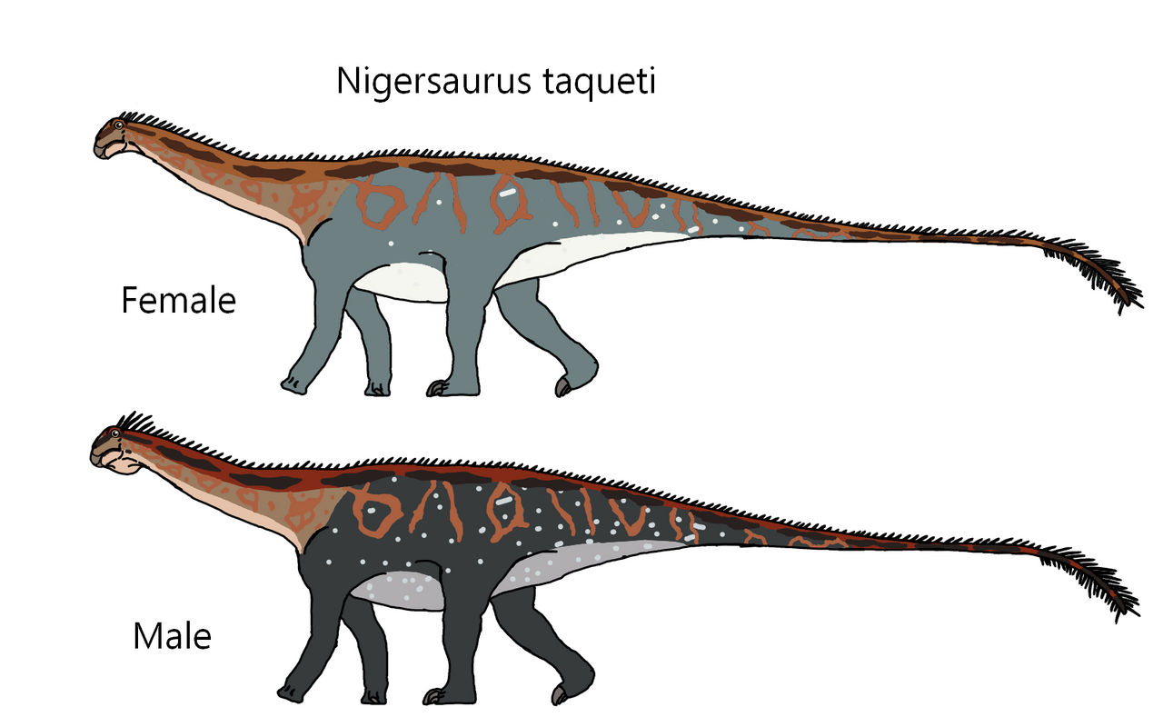 nigersaurus