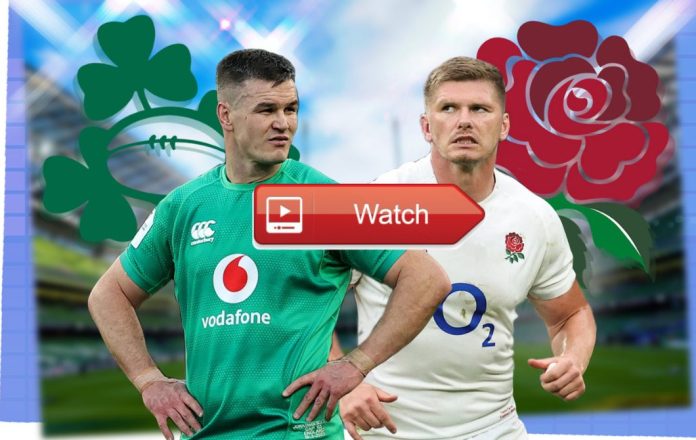 Ireland vs England Live